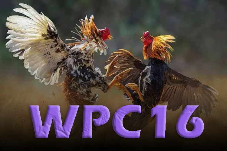 Is WPC16 Legal in the Philippines?