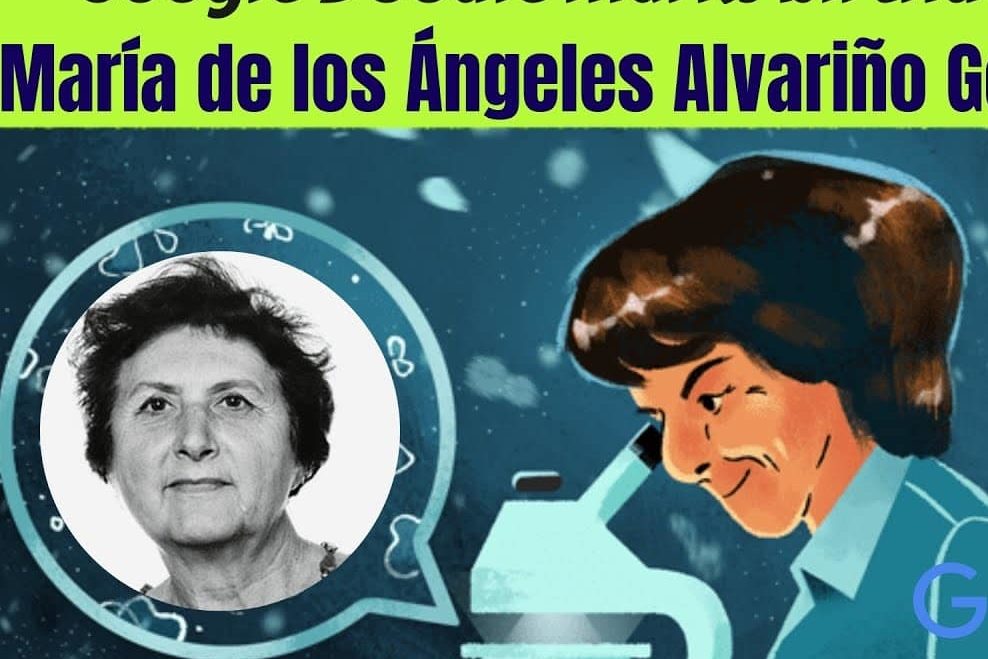 Maria De Los Angeles Alvarino González