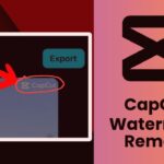 CapCut Watermark Removal Guide