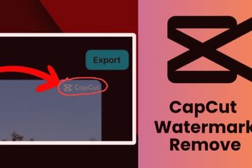 CapCut Watermark Removal Guide