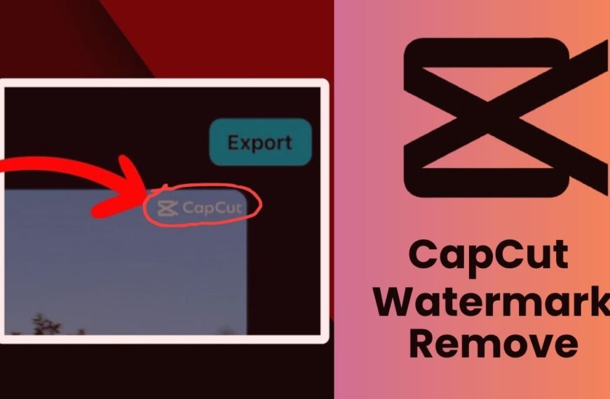 CapCut Watermark Removal Guide