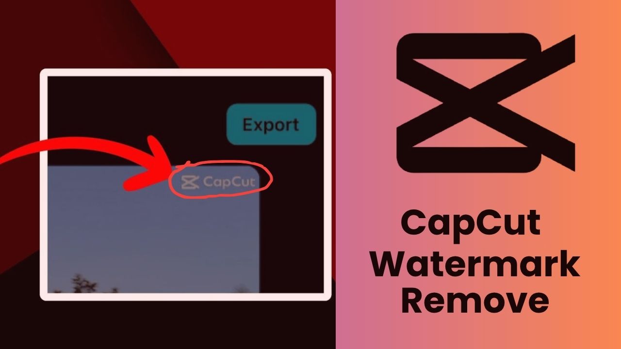 CapCut Watermark Removal Guide